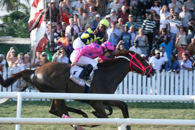 Barbados Gold Cup