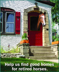 ad_help_find_homes.jpg