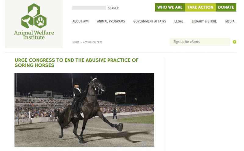Thumbnail for U.S. Passes Prevent All Soring Tactics (PAST) Act