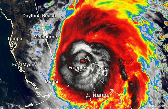 Thumbnail for Support the Caribbean Equine Relief Effort in the Bahamas