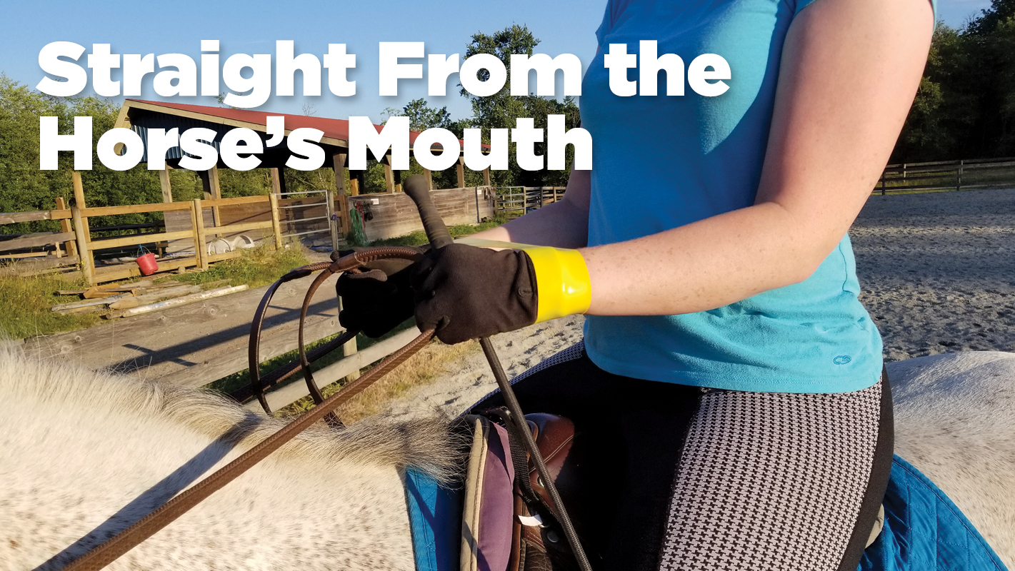 Thumbnail for How Horseback Riders Can Improve Hand and Elbow Alignment