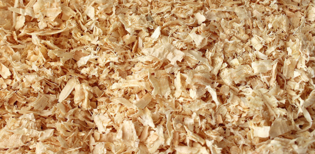 If you have noticed that shavings are harder to find, cost more, and take longer to arrive at your barn, you are not alone.