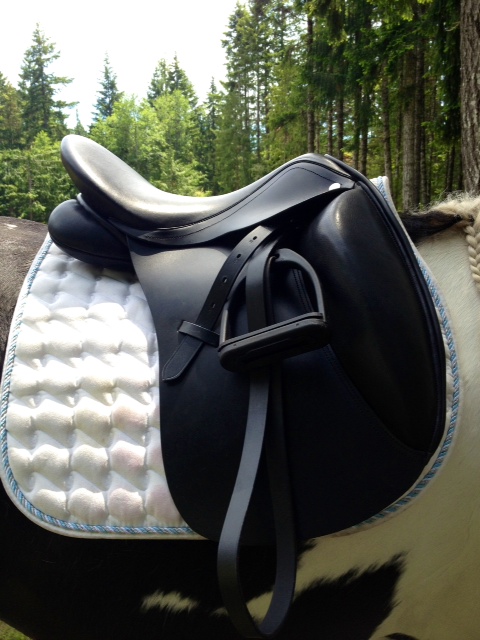 Show Ad Horse Canada Tack And Apparel Canada Treeless Barrel