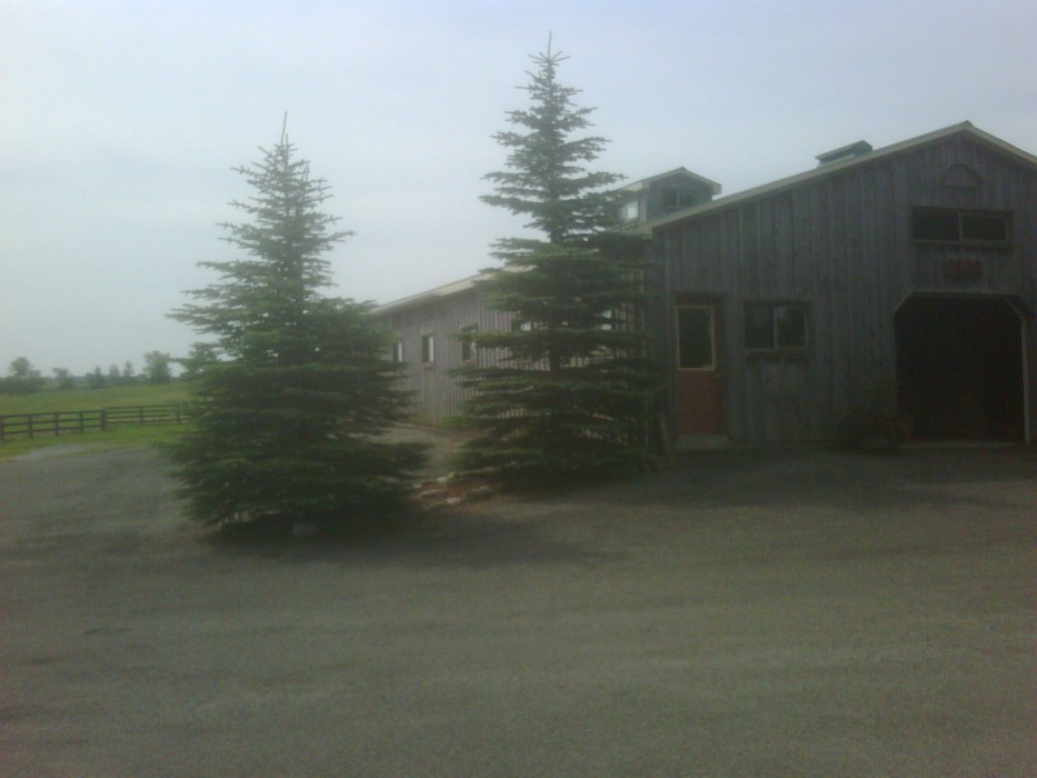 Classifieds Horse Canada Stables 12 Stall Horse Barn