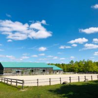 Browse Classifieds Horse Canada Real Estate